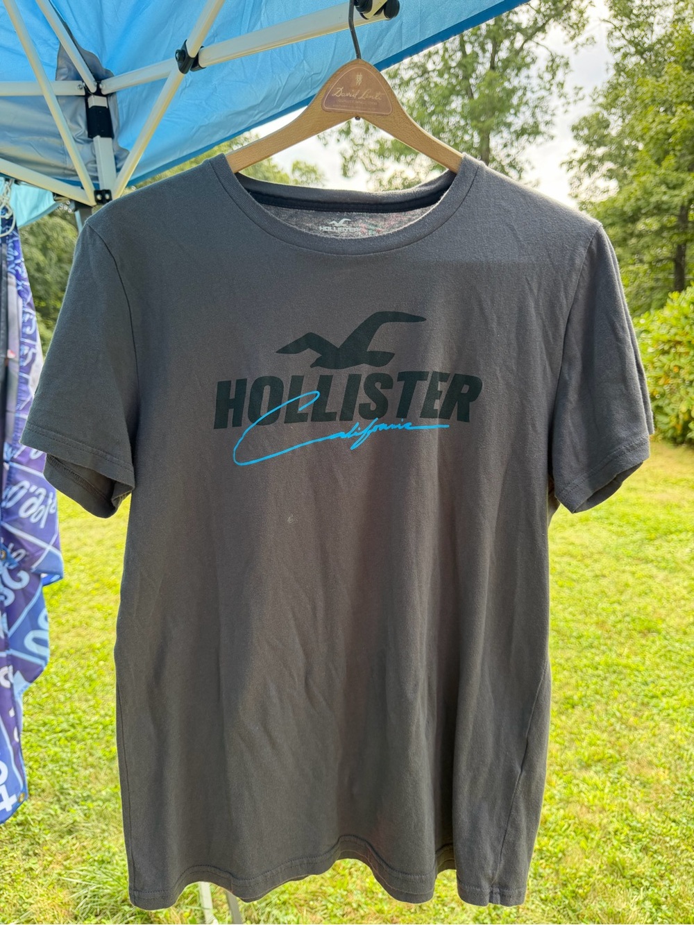 Hollister Shirt